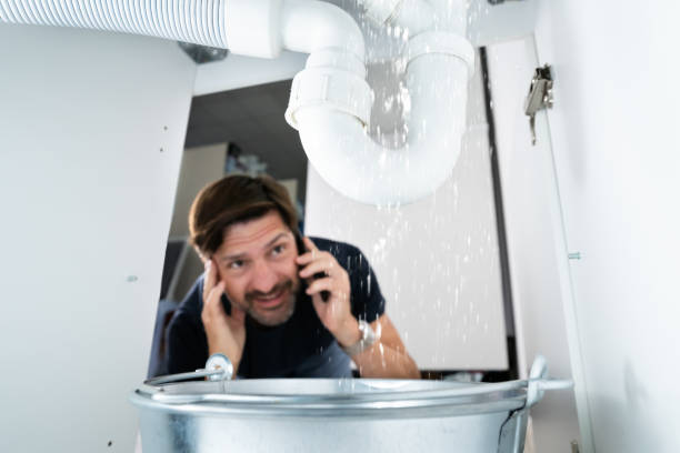 Best Gas Line Repair  in Lakeland, MN