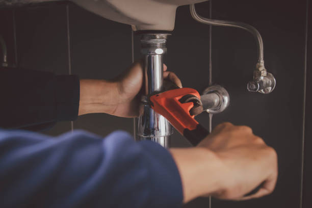 Best Shower Repair Services  in Lakeland, MN