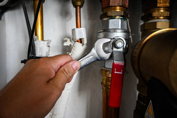 Best Water Leak Repair  in Lakeland, MN